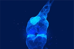 Robotic Surgery + Surgeon Expertise: A Combined Approach to Joint Replacement